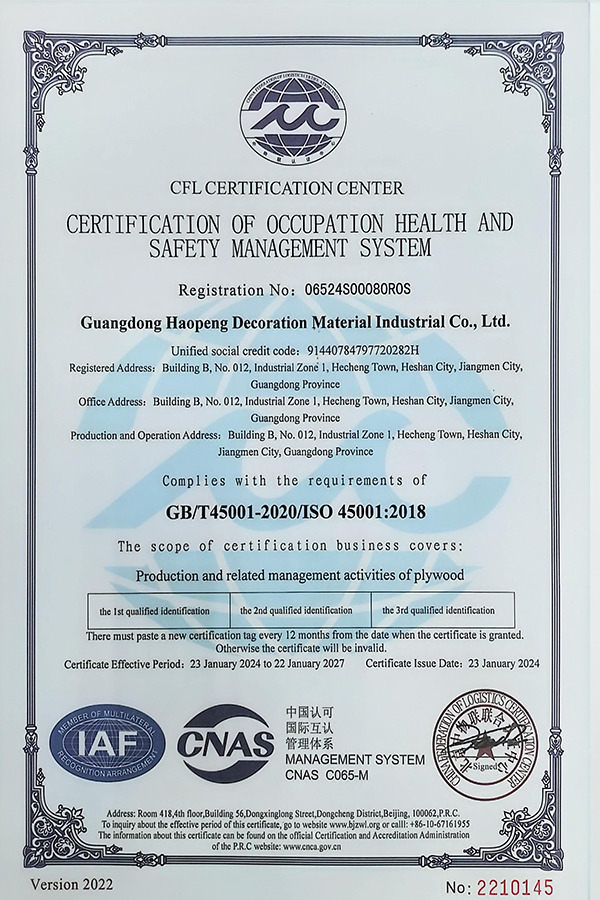 職業(yè)健康安全管理體系認(rèn)證證書 英文版